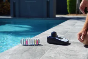 Pool with palm tree
